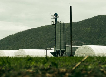 AgroGloryTime - инвестиции в агробизнес Украины по технологии blockchain